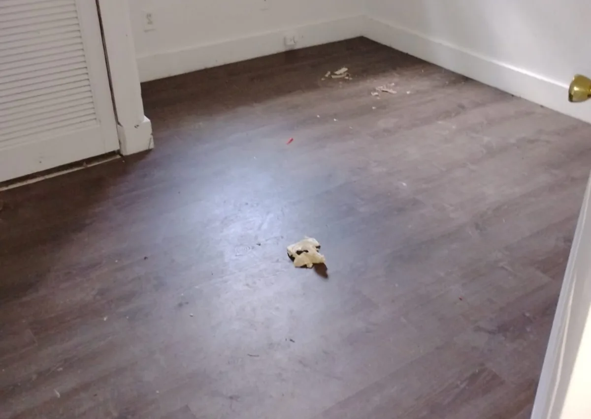 Finished room with new dark wood flooring and clean white walls